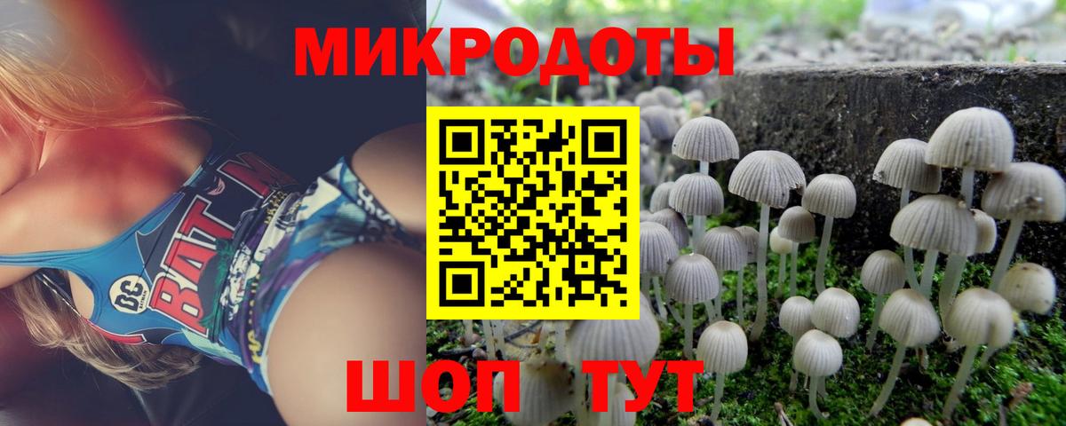 купить   Вход с VPN  Рубцовск  Псилоцибиновые грибы Magic Shrooms 